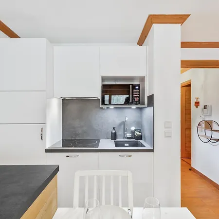 Terrasse Pres Des Pistes Avec Bien-etre - Fr-1-808-8 Apartment *